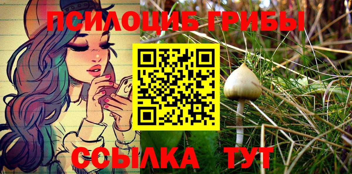 Галлюциногенные грибы ЛСД Казань