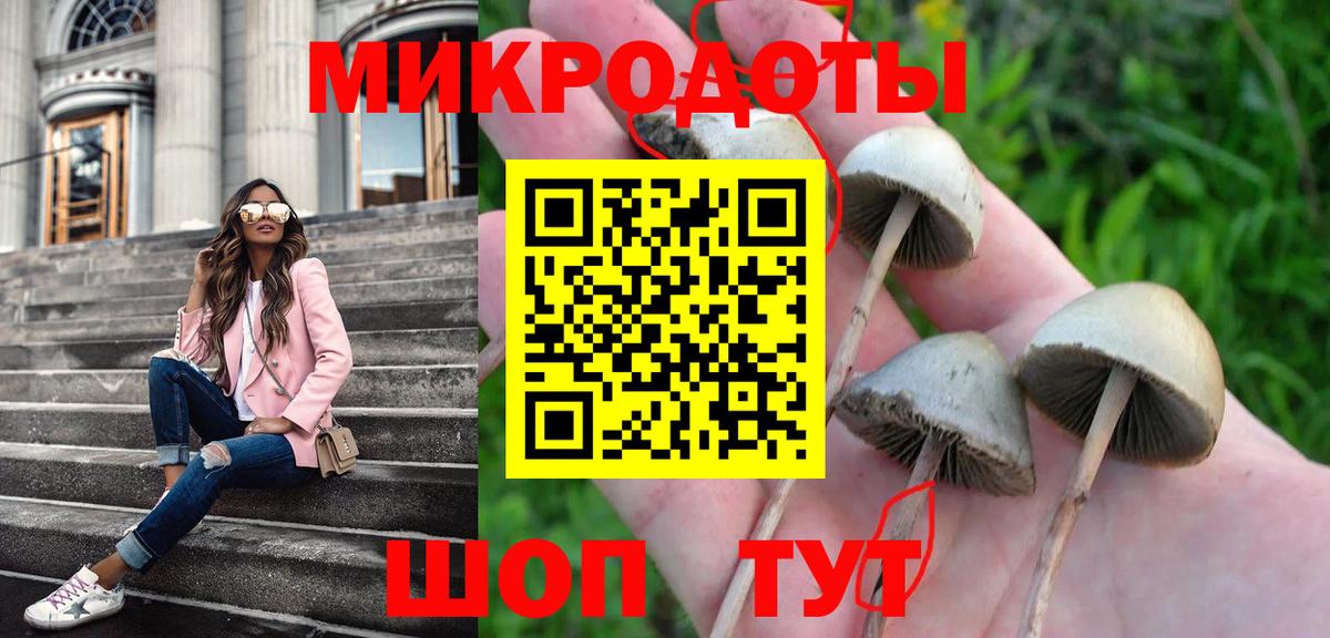 Казань  Галлюциногенные грибы Psilocybine cubensis  где купить   Вход с VPN  Галлюциногенные грибы Magic Shrooms 